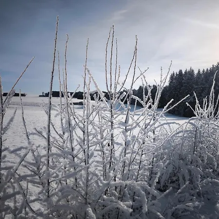 Haus Rosengarten * Friedenweiler