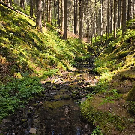 Haus Rosengarten * Friedenweiler