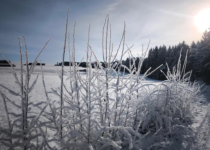 Haus Rosengarten * Friedenweiler