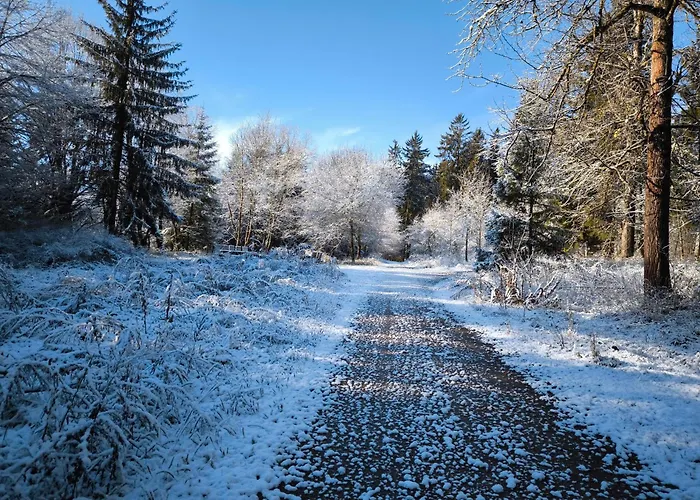 Haus Rosengarten Friedenweiler