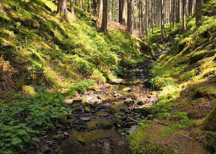 Haus Rosengarten * Friedenweiler